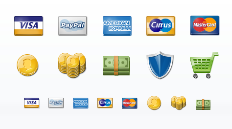 Payment Icon Set